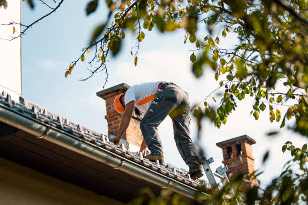 Best Cold Roofs  in Union, MS