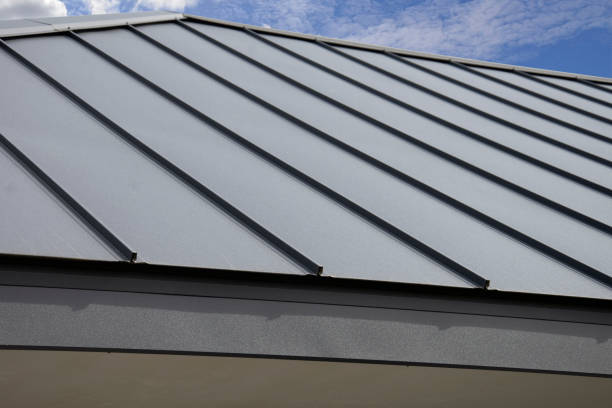 Best Solar Panel Roofing Installation  in Union, MS